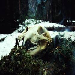 Arkheron Thodol : Thaw Arkheron Thodol : Thaw